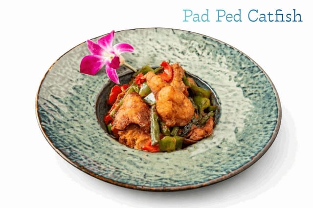 Pad Ped Catfish.