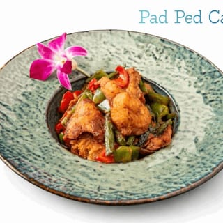 Pad Ped Catfish